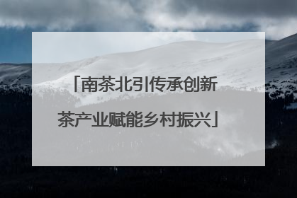 南茶北引传承创新 茶产业赋能乡村振兴
