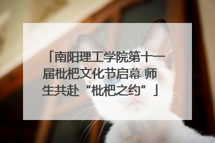 南阳理工学院第十一届枇杷文化节启幕 师生共赴“枇杷之约”