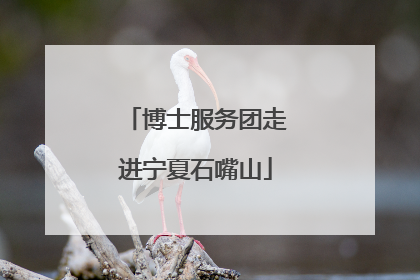 博士服务团走进宁夏石嘴山