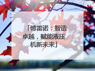 博雷诺：智造卓越，赋能液压机新未来