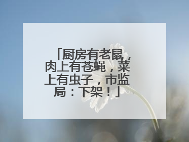 厨房有老鼠，肉上有苍蝇，菜上有虫子，市监局：下架！
