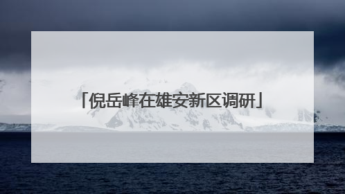 倪岳峰在雄安新区调研