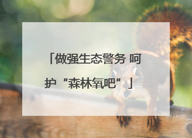 做强生态警务 呵护“森林氧吧”