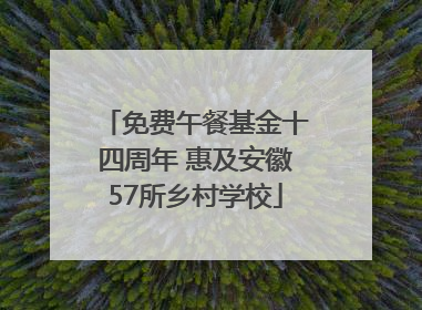 免费午餐基金十四周年 惠及安徽57所乡村学校