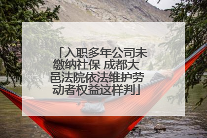 入职多年公司未缴纳社保 成都大邑法院依法维护劳动者权益这样判