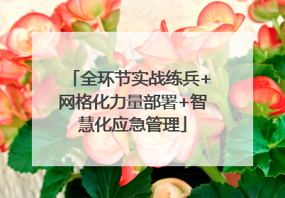 全环节实战练兵+网格化力量部署+智慧化应急管理