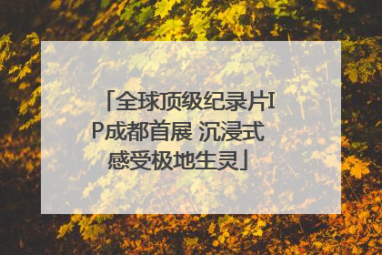全球顶级纪录片IP成都首展 沉浸式感受极地生灵