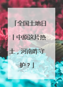 全国土地日丨中原这片热土，河南咋守护？