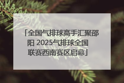 全国气排球高手汇聚邵阳 2025气排球全国联赛西南赛区启幕