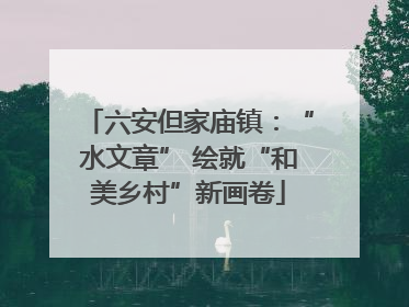 六安但家庙镇：“水文章” 绘就“和美乡村”新画卷