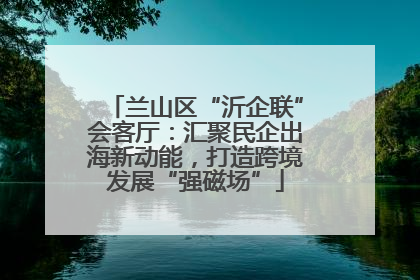 兰山区“沂企联”会客厅：汇聚民企出海新动能，打造跨境发展“强磁场”