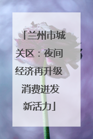 兰州市城关区：夜间经济再升级 消费迸发新活力