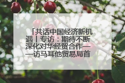共话中国经济新机遇丨专访：期待不断深化对华经贸合作——访马耳他贸易局首席执行官布蒂吉格
