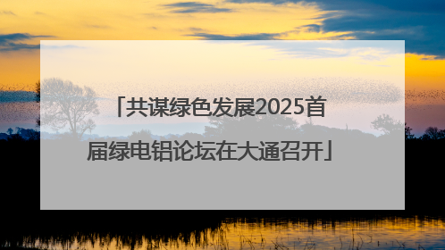 共谋绿色发展2025首届绿电铝论坛在大通召开