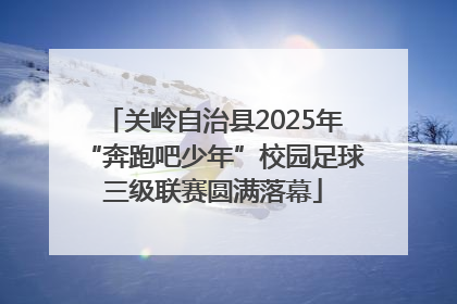 关岭自治县2025年“奔跑吧少年”校园足球三级联赛圆满落幕