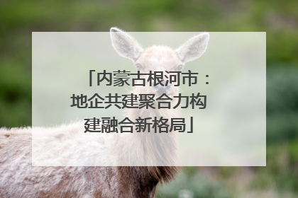 内蒙古根河市：地企共建聚合力构建融合新格局