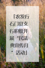 农发行石门县支行积极开展“民法典宣传月”活动