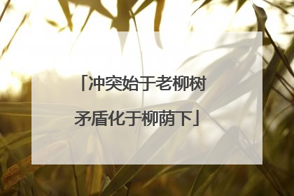 冲突始于老柳树 矛盾化于柳荫下