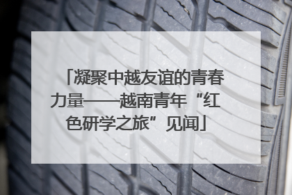 凝聚中越友谊的青春力量——越南青年“红色研学之旅”见闻