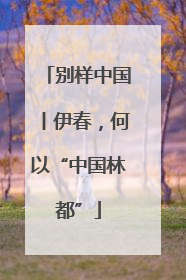 别样中国丨伊春，何以“中国林都”