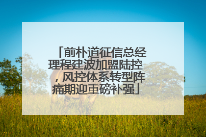 前朴道征信总经理程建波加盟陆控，风控体系转型阵痛期迎重磅补强