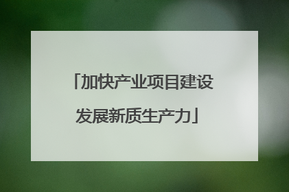 加快产业项目建设 发展新质生产力
