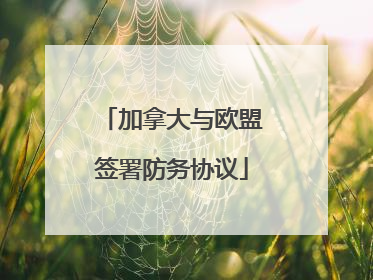 加拿大与欧盟签署防务协议