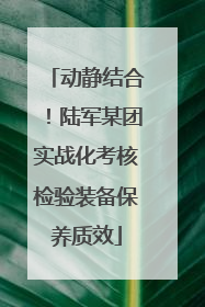 动静结合！陆军某团实战化考核检验装备保养质效