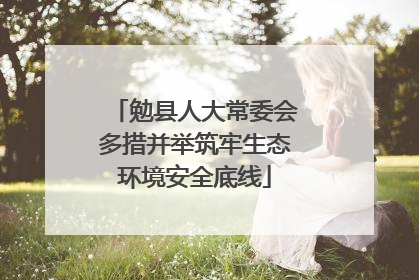 勉县人大常委会多措并举筑牢生态环境安全底线