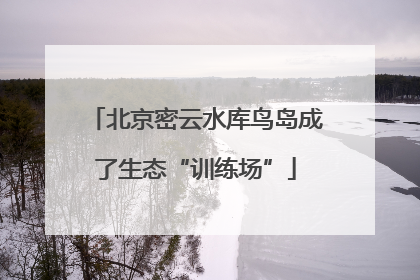 北京密云水库鸟岛成了生态“训练场”
