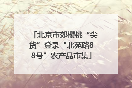 北京市郊樱桃“尖货”登录“北苑路88号”农产品市集