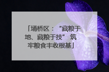埇桥区：“藏粮于地、藏粮于技” 筑牢粮食丰收根基