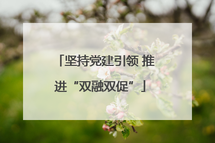 坚持党建引领 推进“双融双促”