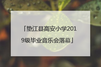 垫江县高安小学2019级毕业音乐会落幕
