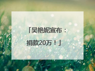 吴艳妮宣布：捐款20万！