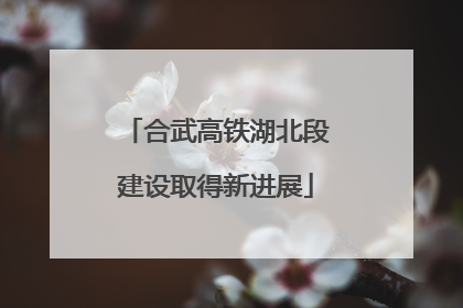合武高铁湖北段建设取得新进展