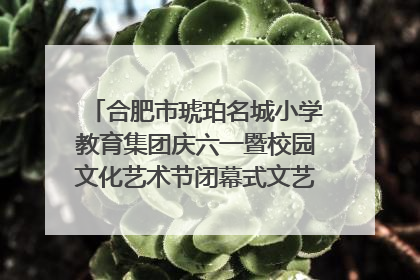 合肥市琥珀名城小学教育集团庆六一暨校园文化艺术节闭幕式文艺汇演圆满举行