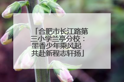 合肥市长江路第三小学兰亭分校：墨香少年乘风起 共赴新程志轩扬