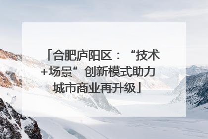 合肥庐阳区：“技术+场景”创新模式助力城市商业再升级