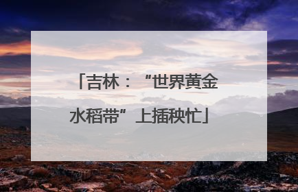 吉林：“世界黄金水稻带”上插秧忙