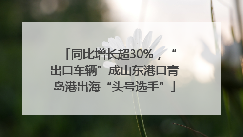 同比增长超30%，“出口车辆”成山东港口青岛港出海“头号选手”