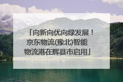 向新向优向绿发展！京东物流(豫北)智能物流港在辉县市启用