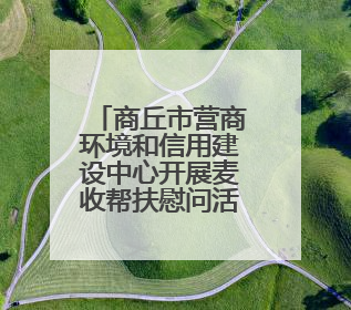 商丘市营商环境和信用建设中心开展麦收帮扶慰问活动暖人心