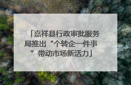 嘉祥县行政审批服务局推出“个转企一件事”带动市场新活力