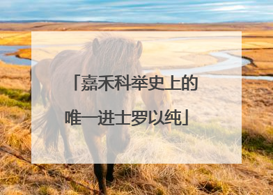嘉禾科举史上的唯一进士罗以纯