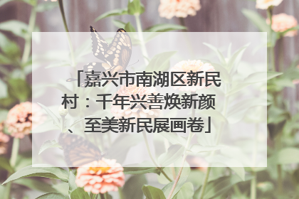 嘉兴市南湖区新民村：千年兴善焕新颜、至美新民展画卷