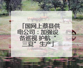 国网上蔡县供电公司：加强设备巡视 护航“三夏”生产