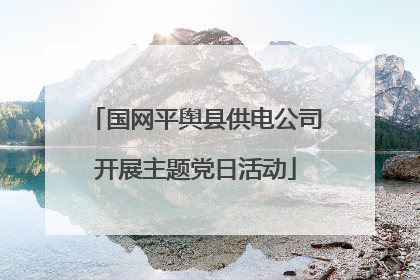 国网平舆县供电公司开展主题党日活动