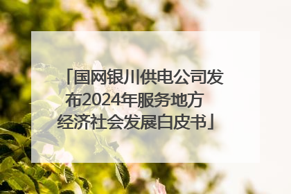 国网银川供电公司发布2024年服务地方经济社会发展白皮书