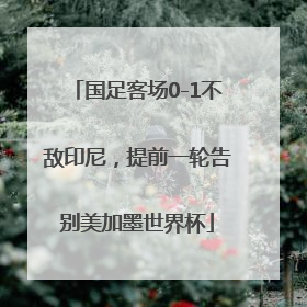 国足客场0-1不敌印尼，提前一轮告别美加墨世界杯